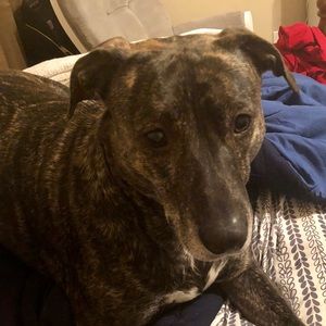 Meet your Posher, Rebecca